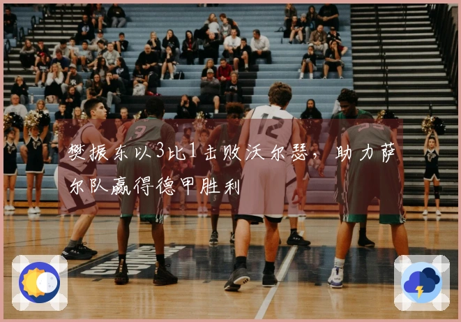 樊振东以3比1击败沃尔瑟，助力萨尔队赢得德甲胜利