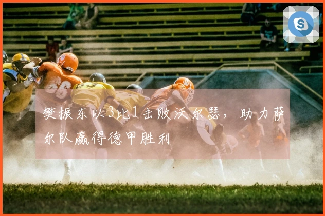 樊振东以3比1击败沃尔瑟，助力萨尔队赢得德甲胜利