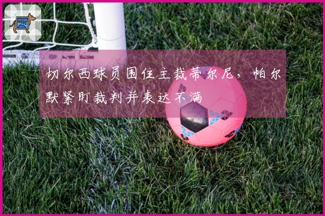 切尔西球员围住主裁蒂尔尼，帕尔默紧盯裁判并表达不满