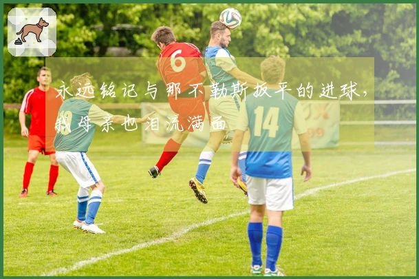 永远铭记与那不勒斯扳平的进球，我母亲也泪流满面