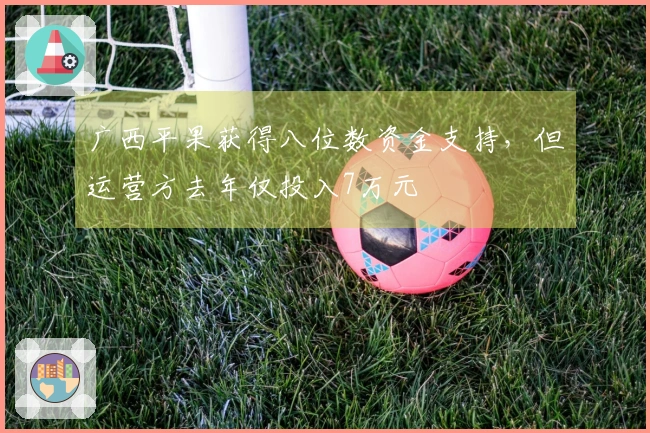 广西平果获得八位数资金支持，但运营方去年仅投入7万元